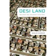 Desi Land: Teen Culture, Class, and Success in Silicon Valley