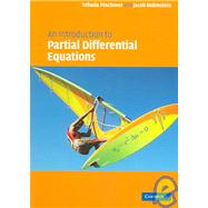 An Introduction to Partial Differential Equations