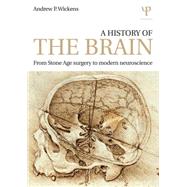 A History of the Brain: From Stone Age Surgery to Modern Neuroscience