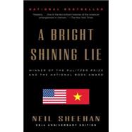A Bright Shining Lie