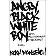 Angry Black White Boy : A Novel