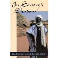 In Sorcery's Shadow : A Memoir of Apprenticeship among the Songhay of Niger