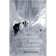 In the Shadow of Melting Glaciers : Climate Change and Andean Society