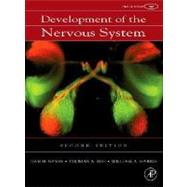 Development Of The Nervous System