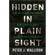 Hiding in Plain Sight: What Really Caused the World's Worst Financial Crisis-- and Why It Could Happen Again